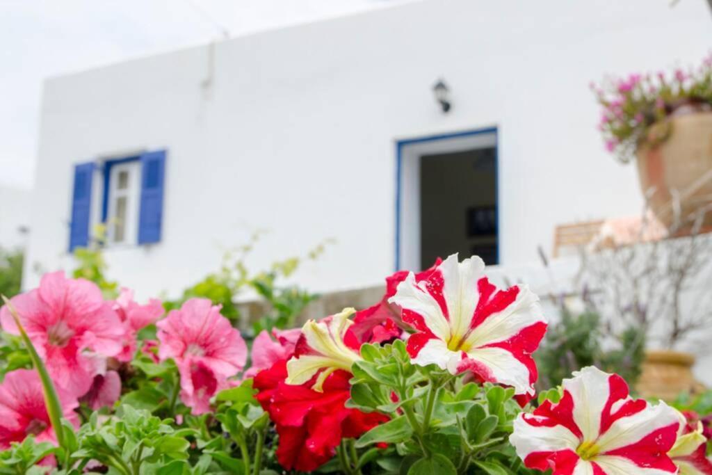 Cycladic Houses In Rural Surrounding 4 Tholaria Luaran gambar